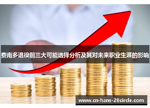 费南多退役前三大可能选择分析及其对未来职业生涯的影响