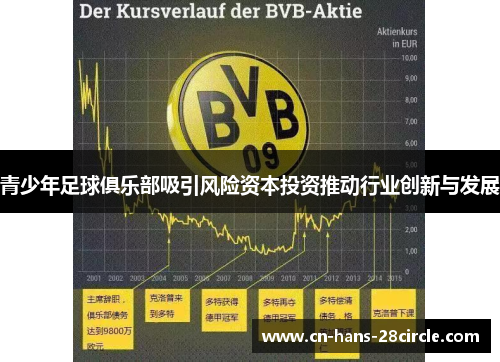 青少年足球俱乐部吸引风险资本投资推动行业创新与发展