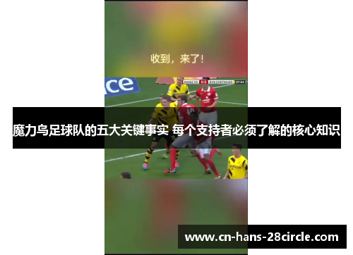 魔力鸟足球队的五大关键事实 每个支持者必须了解的核心知识