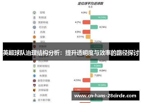 英超球队治理结构分析：提升透明度与效率的路径探讨
